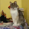 Отзыв от Эмилия Владимирова